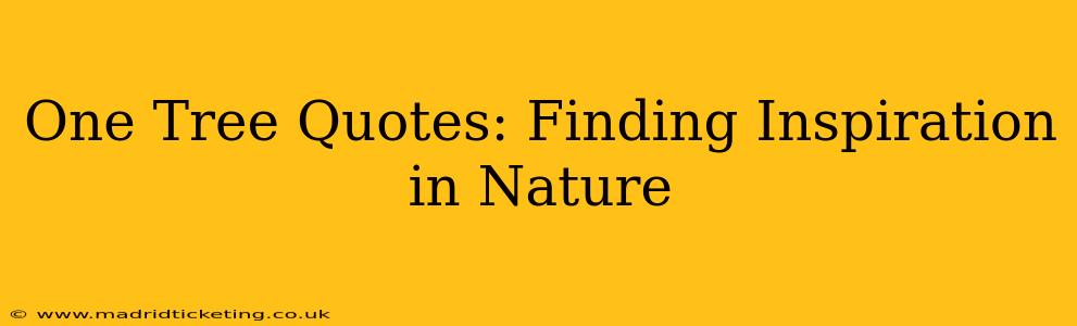 One Tree Quotes: Finding Inspiration in Nature