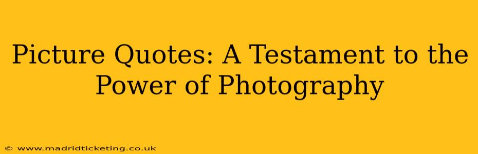 Picture Quotes: A Testament to the Power of Photography
