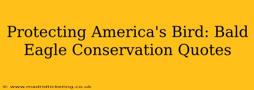 Protecting America's Bird: Bald Eagle Conservation Quotes