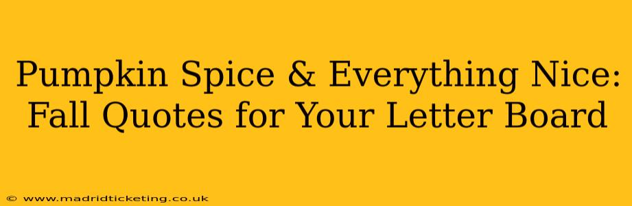 Pumpkin Spice & Everything Nice: Fall Quotes for Your Letter Board