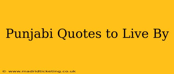 Punjabi Quotes to Live By