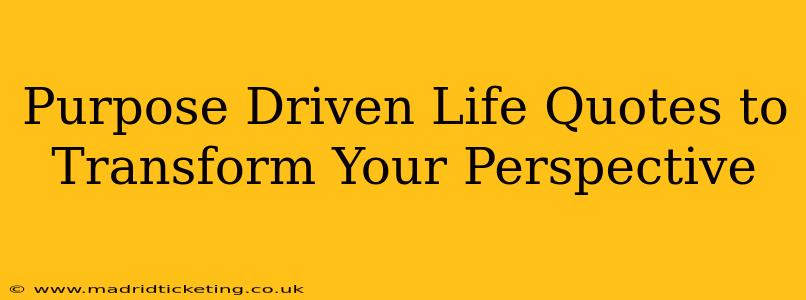 Purpose Driven Life Quotes to Transform Your Perspective