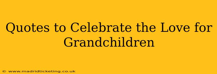 Quotes to Celebrate the Love for Grandchildren