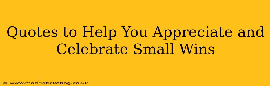 Quotes to Help You Appreciate and Celebrate Small Wins