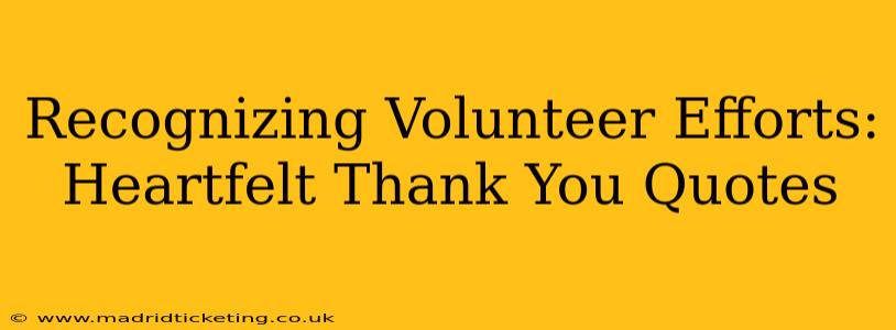 Recognizing Volunteer Efforts: Heartfelt Thank You Quotes