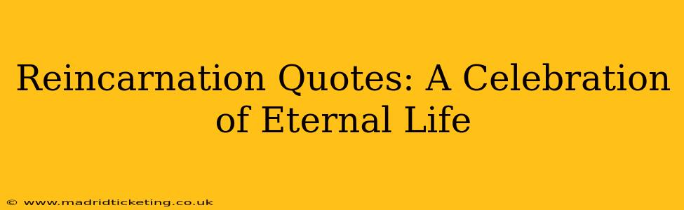 Reincarnation Quotes: A Celebration of Eternal Life
