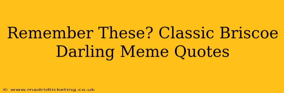 Remember These? Classic Briscoe Darling Meme Quotes