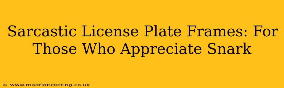 Sarcastic License Plate Frames: For Those Who Appreciate Snark
