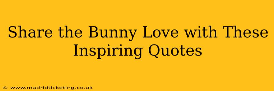 Share the Bunny Love with These Inspiring Quotes