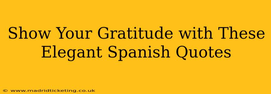 Show Your Gratitude with These Elegant Spanish Quotes