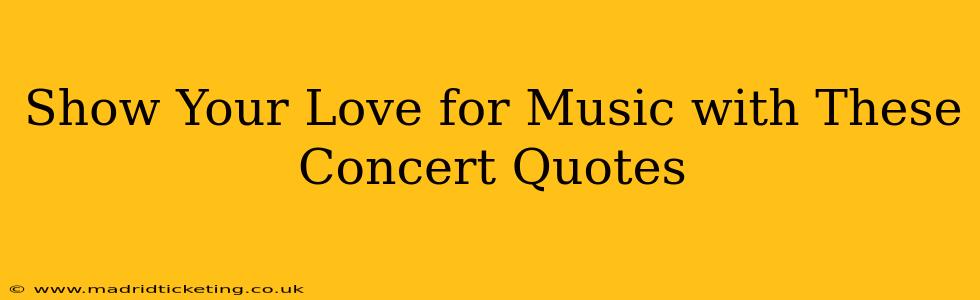 Show Your Love for Music with These Concert Quotes