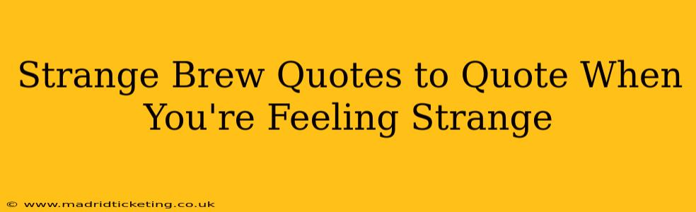 Strange Brew Quotes to Quote When You're Feeling Strange
