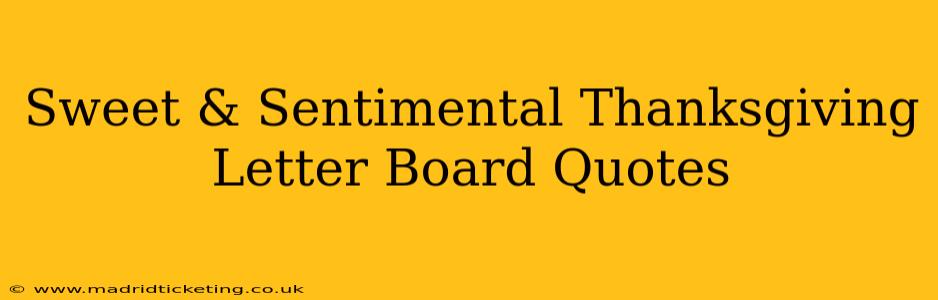 Sweet & Sentimental Thanksgiving Letter Board Quotes
