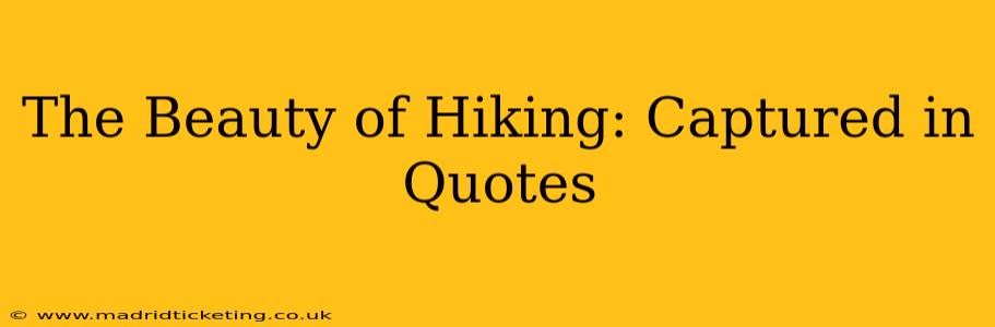 The Beauty of Hiking: Captured in Quotes