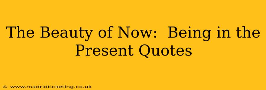 The Beauty of Now:  Being in the Present Quotes