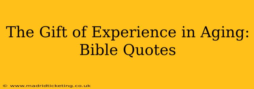 The Gift of Experience in Aging: Bible Quotes