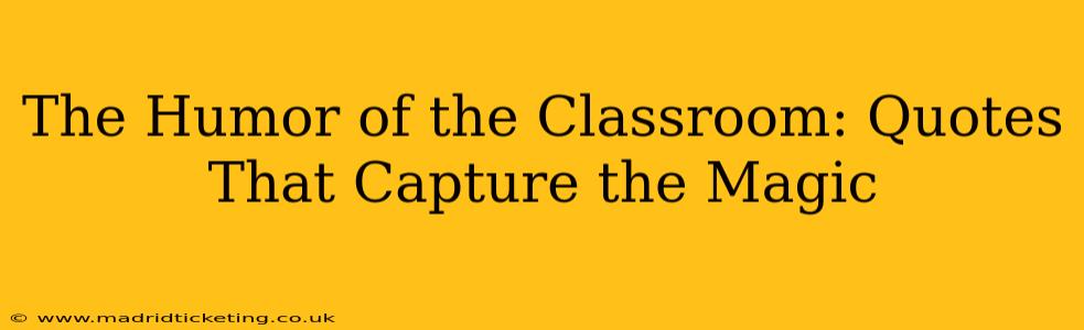 The Humor of the Classroom: Quotes That Capture the Magic