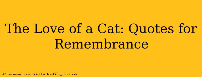 The Love of a Cat: Quotes for Remembrance