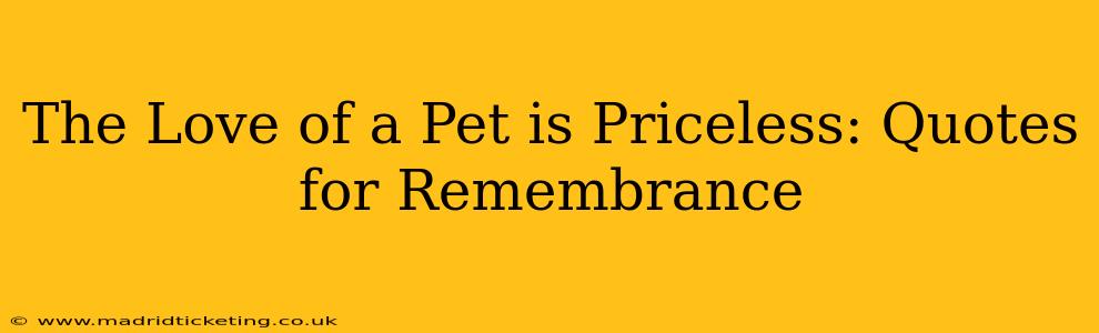 The Love of a Pet is Priceless: Quotes for Remembrance