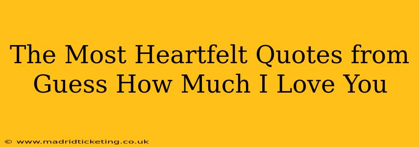 The Most Heartfelt Quotes from Guess How Much I Love You