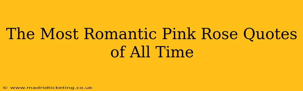 The Most Romantic Pink Rose Quotes of All Time