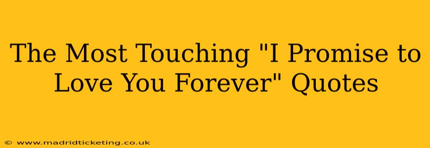 The Most Touching "I Promise to Love You Forever" Quotes