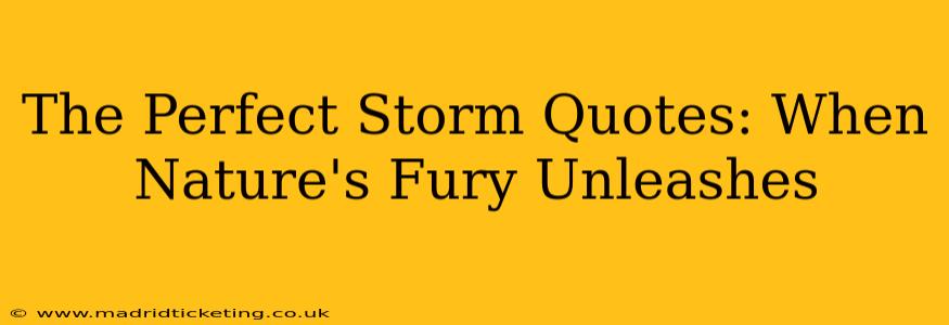The Perfect Storm Quotes: When Nature's Fury Unleashes