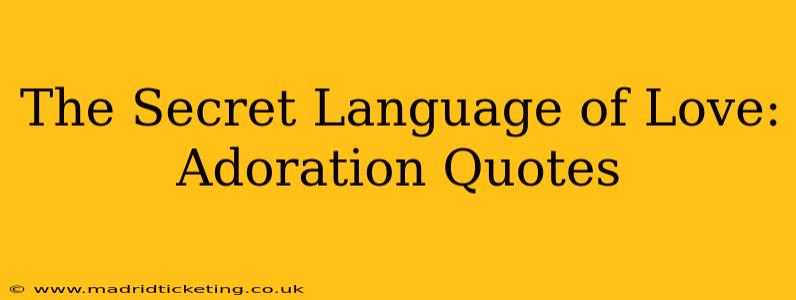 The Secret Language of Love: Adoration Quotes