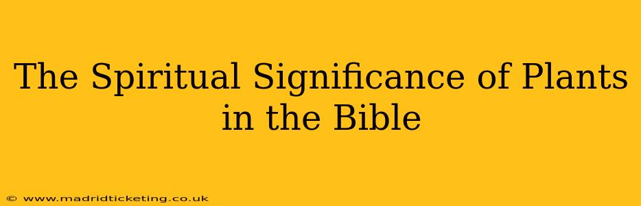 The Spiritual Significance of Plants in the Bible