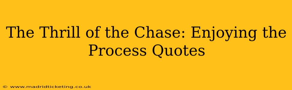 The Thrill of the Chase: Enjoying the Process Quotes