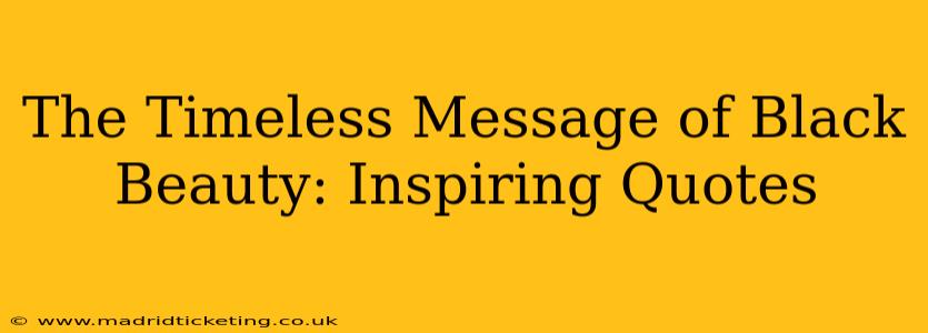 The Timeless Message of Black Beauty: Inspiring Quotes