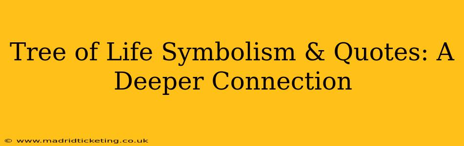 Tree of Life Symbolism & Quotes: A Deeper Connection
