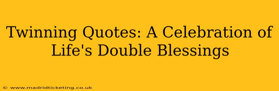 Twinning Quotes: A Celebration of Life's Double Blessings