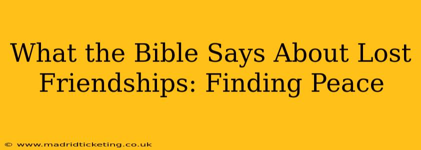 What the Bible Says About Lost Friendships: Finding Peace