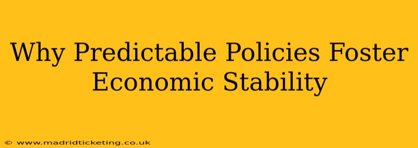 Why Predictable Policies Foster Economic Stability