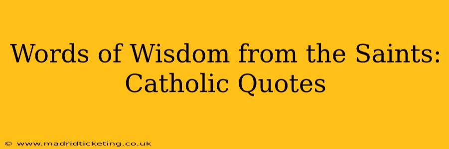 Words of Wisdom from the Saints: Catholic Quotes